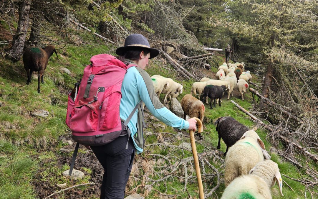 Tierische Reportage in Südtirol (Arte)